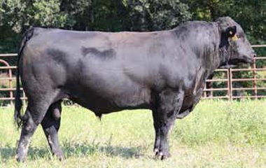 Lot 5 - 220Y OUTRIGHT 5126D ET